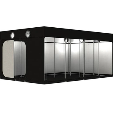 উচ্চ মানের বৃদ্ধি তাঁবু